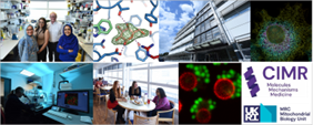 CIMR, UKRI and MRC logos with associated images 