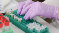 Test tubes being arranged by gloved hands