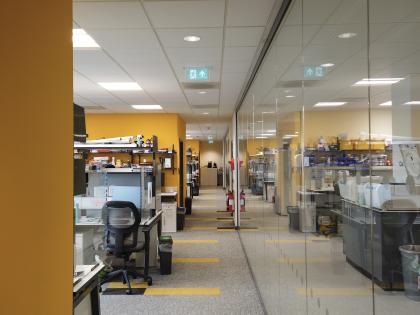 Immunology laboratory